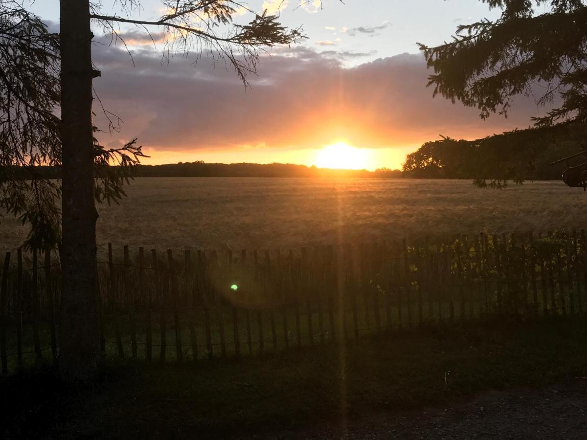 Bed & Breakfast 5 Min From E47 - Dogs Welcome - Cosy Farm Bnb Tureby Exterior foto