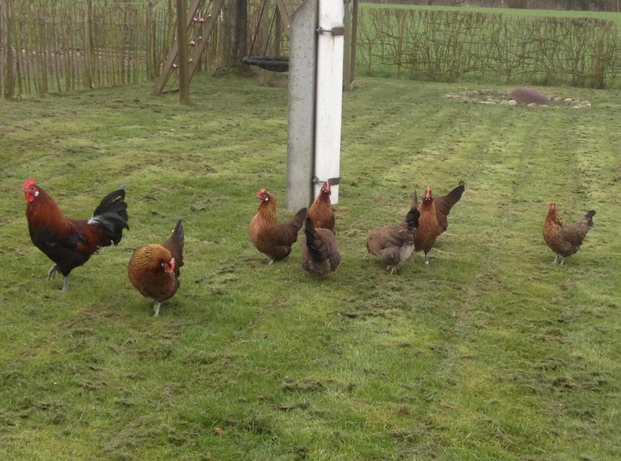 Bed & Breakfast 5 Min From E47 - Dogs Welcome - Cosy Farm Bnb Tureby Exterior foto