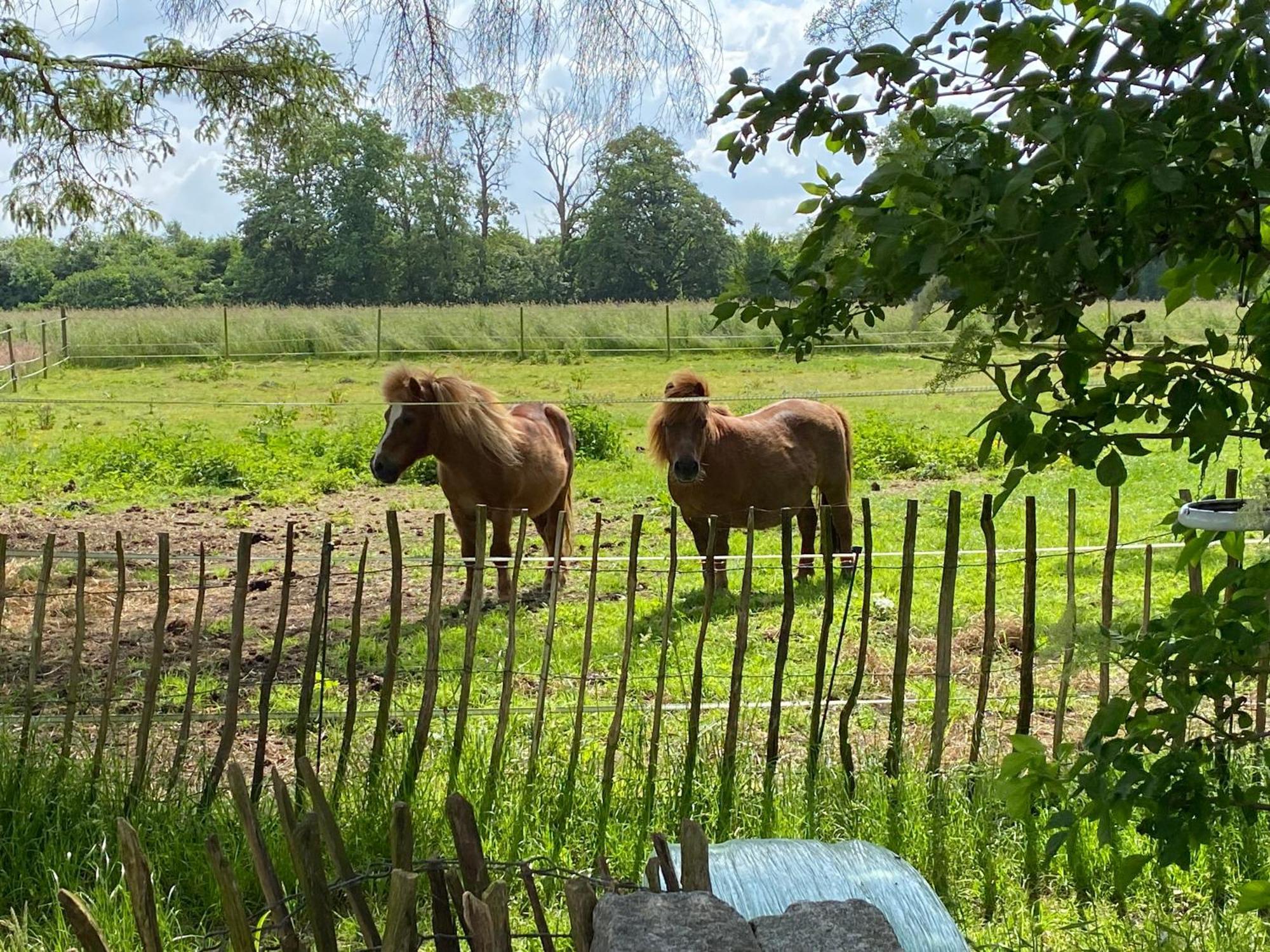 Bed & Breakfast 5 Min From E47 - Dogs Welcome - Cosy Farm Bnb Tureby Exterior foto